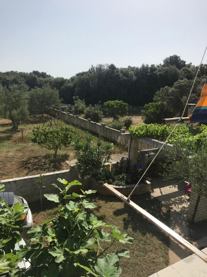 Bava Διαμέρισμα Ugljan Εξωτερικό φωτογραφία